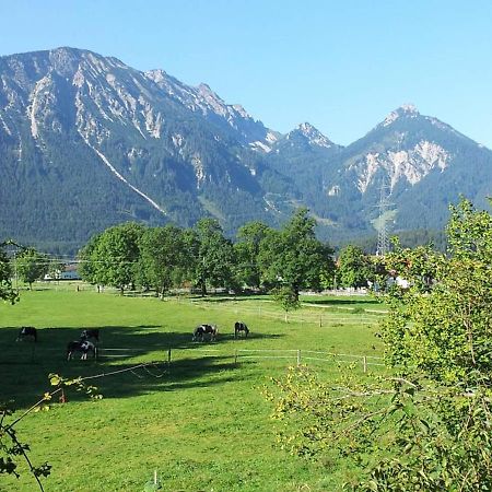 Appartamento Gutshof Zum Schluxen Pinswang Esterno foto