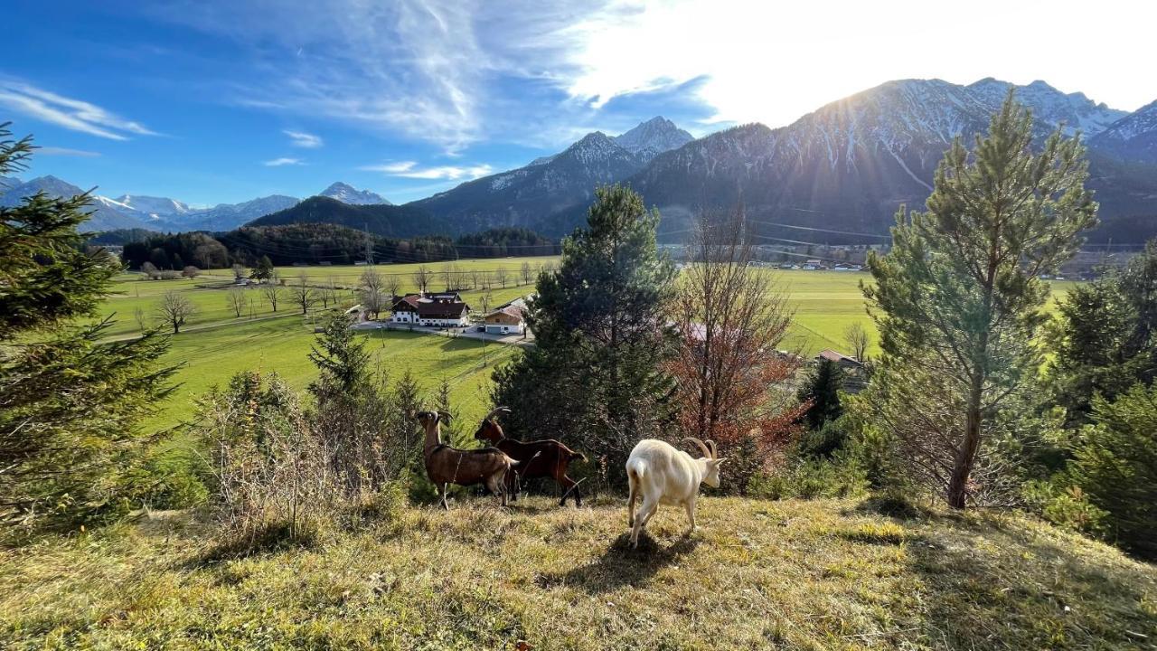 Appartamento Gutshof Zum Schluxen Pinswang Esterno foto