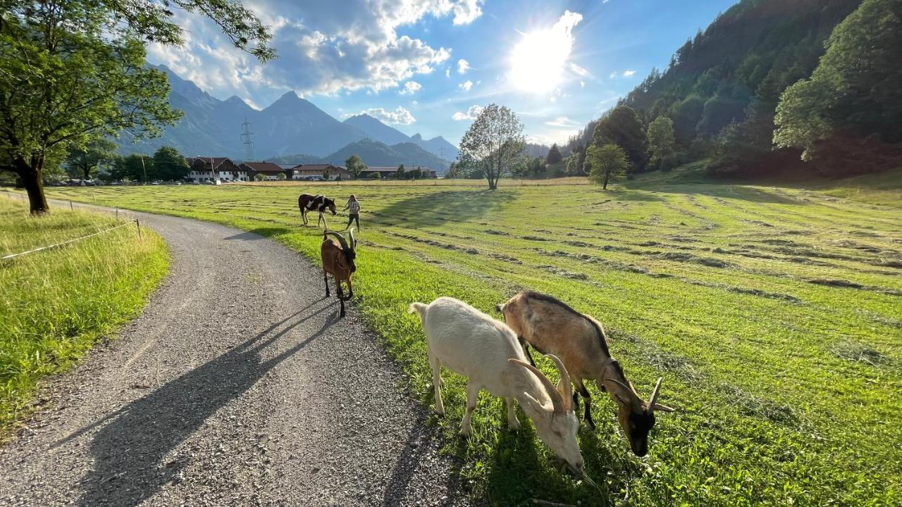 Appartamento Gutshof Zum Schluxen Pinswang Esterno foto