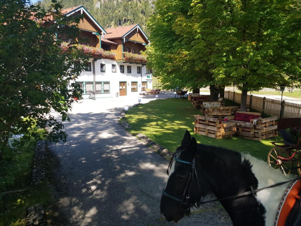 Appartamento Gutshof Zum Schluxen Pinswang Esterno foto