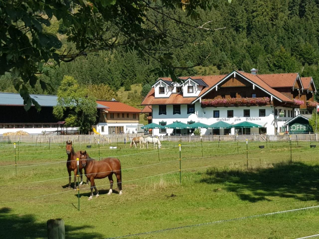 Appartamento Gutshof Zum Schluxen Pinswang Esterno foto